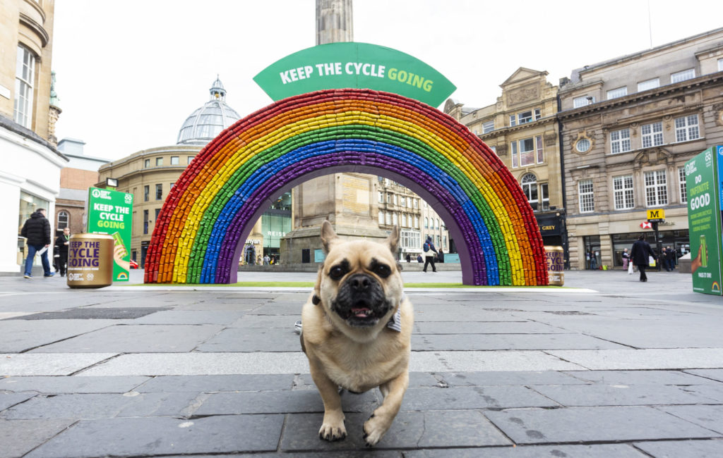Photo of dog running past the Every Can Counts Rainbow in Newcastle for Earth Day 2022.